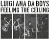 Luigi Ana Da Boys - Feeling The Ceiling (Vinyl LP) - Pale Blue Dot Records
