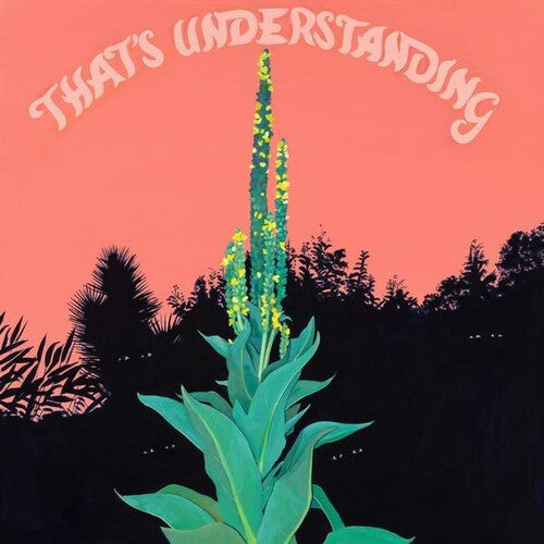 Village of Spaces - That's Understanding (Vinyl LP) - Pale Blue Dot Records