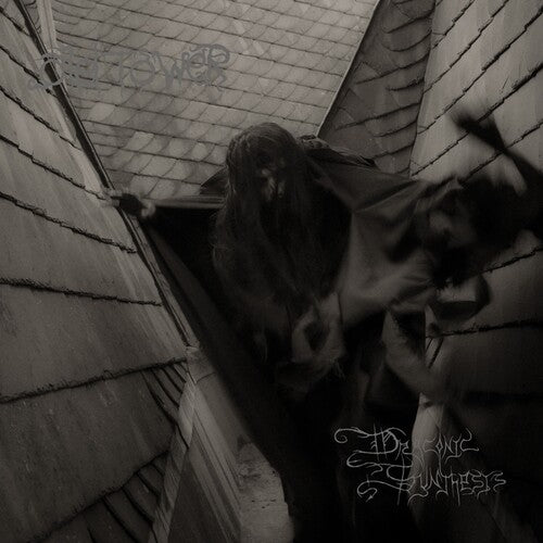 Old Tower - Draconic Synthesis (Vinyl LP) - Pale Blue Dot Records