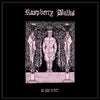 Raspberry Bulbs - The World Is Empty, The Heart Is Full (Vinyl LP) - Pale Blue Dot Records