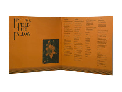 The Antlers - Green to Gold (Limited Edition Opaque Tan Colored Vinyl) - Pale Blue Dot Records