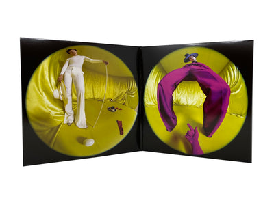 Harry Styles - Fine Line (180 gram Vinyl w/ Gatefold Jacket & Poster) - Pale Blue Dot Records