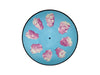 Glass Animals (Limited Edition Picture Disc) - Pale Blue Dot Records