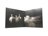 The Kooks - 10 Tracks To Echo In The Dark (Indie Exclusive Clear Colored Vinyl)