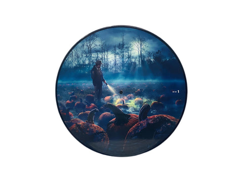 Stranger Things - Halloween Sounds From the Upside Down (Limited Edition Picture Disc Vinyl) - Pale Blue Dot Records